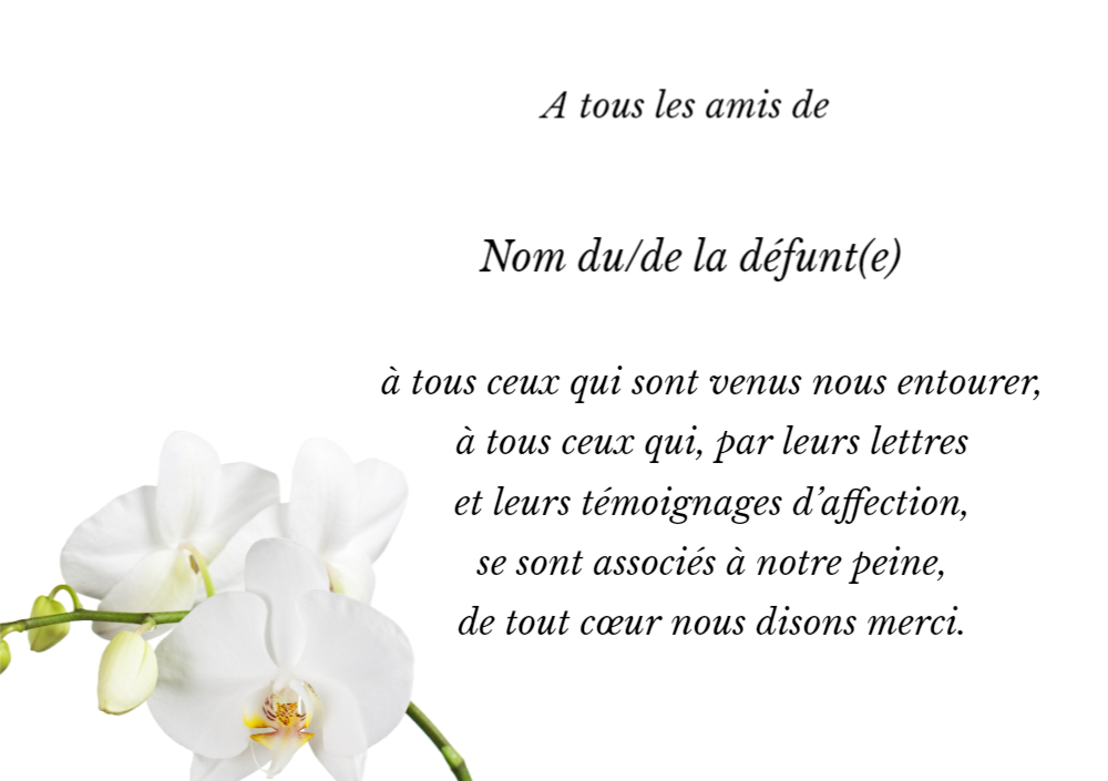 Cartes fleur blanche